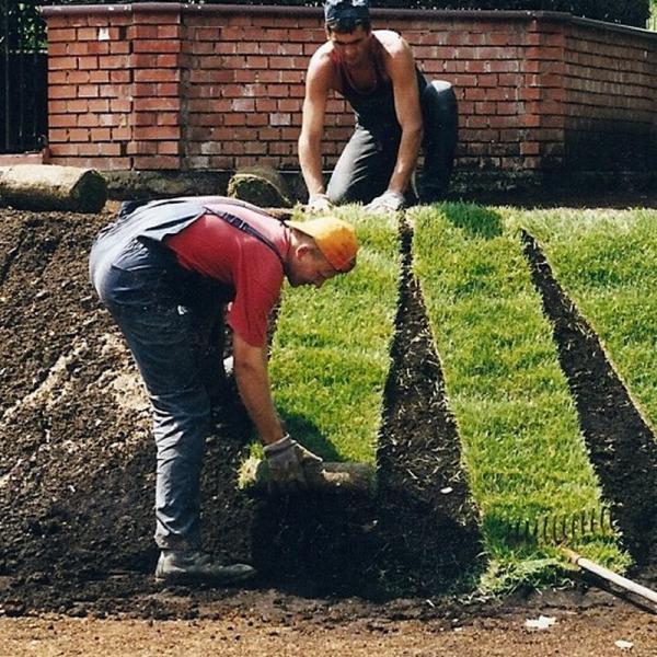 Gardern Cleaning