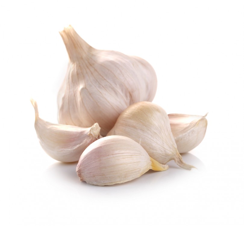 Garlic